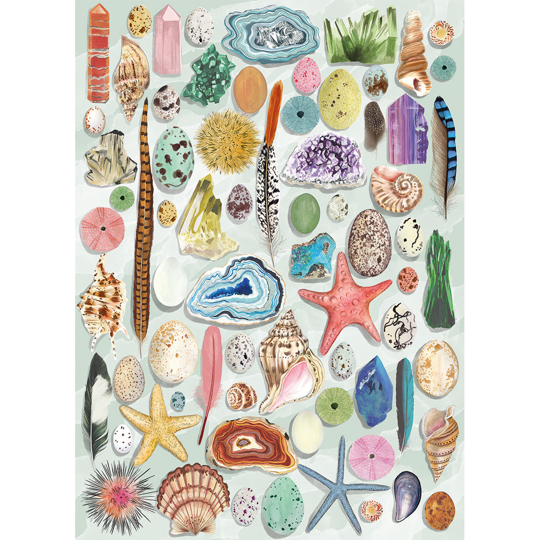 gibsons-natural-curiosities-puzzle-1000-teile-meer image 7