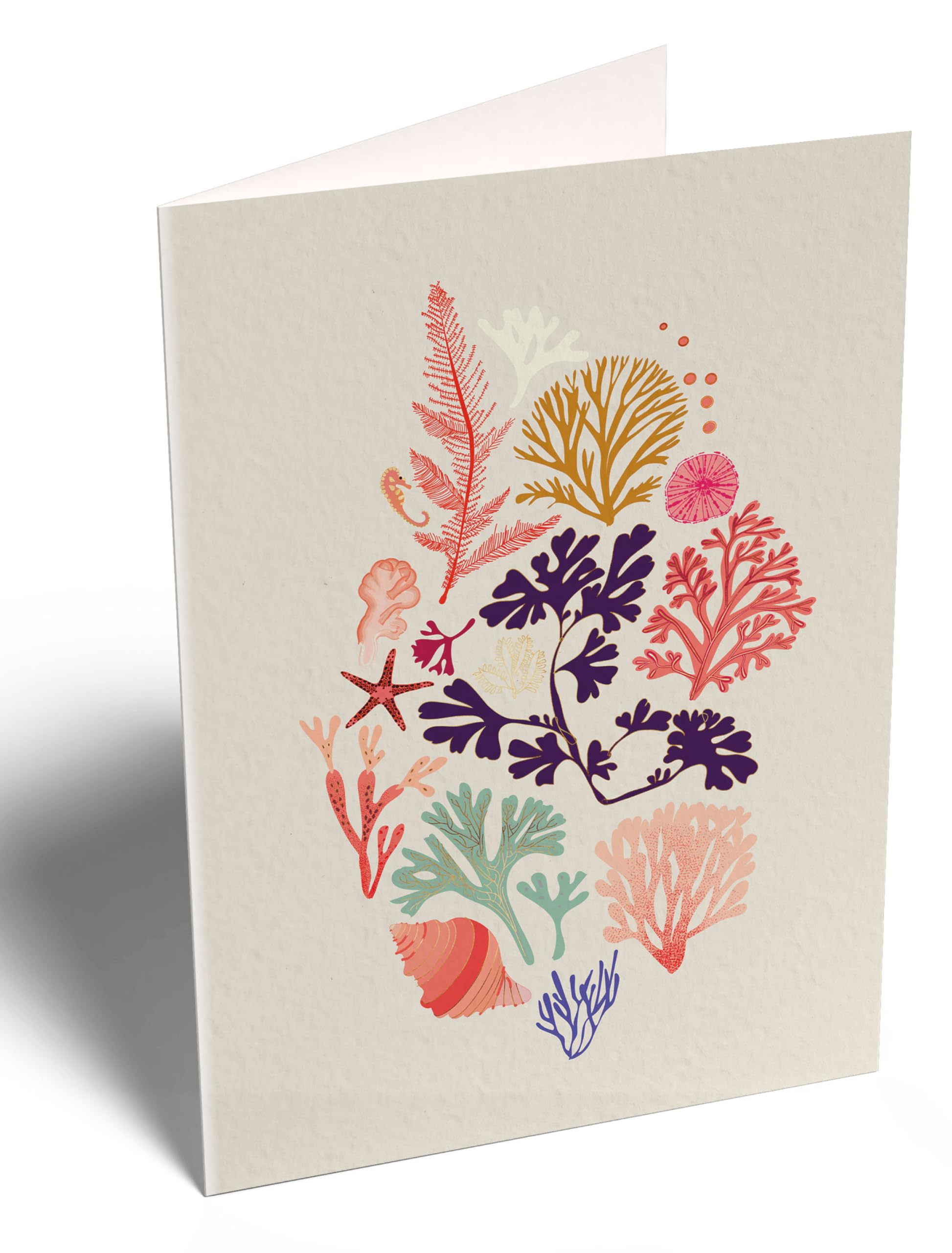 elena-essex-cards-gru-karten-12er-set-koralle-goldfolie image 5