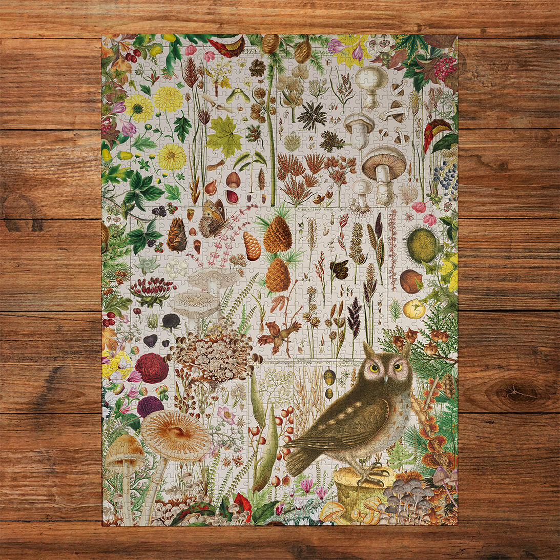 gibsons-rhs-fall-flora-1000-teile-puzzle-herbst image 2