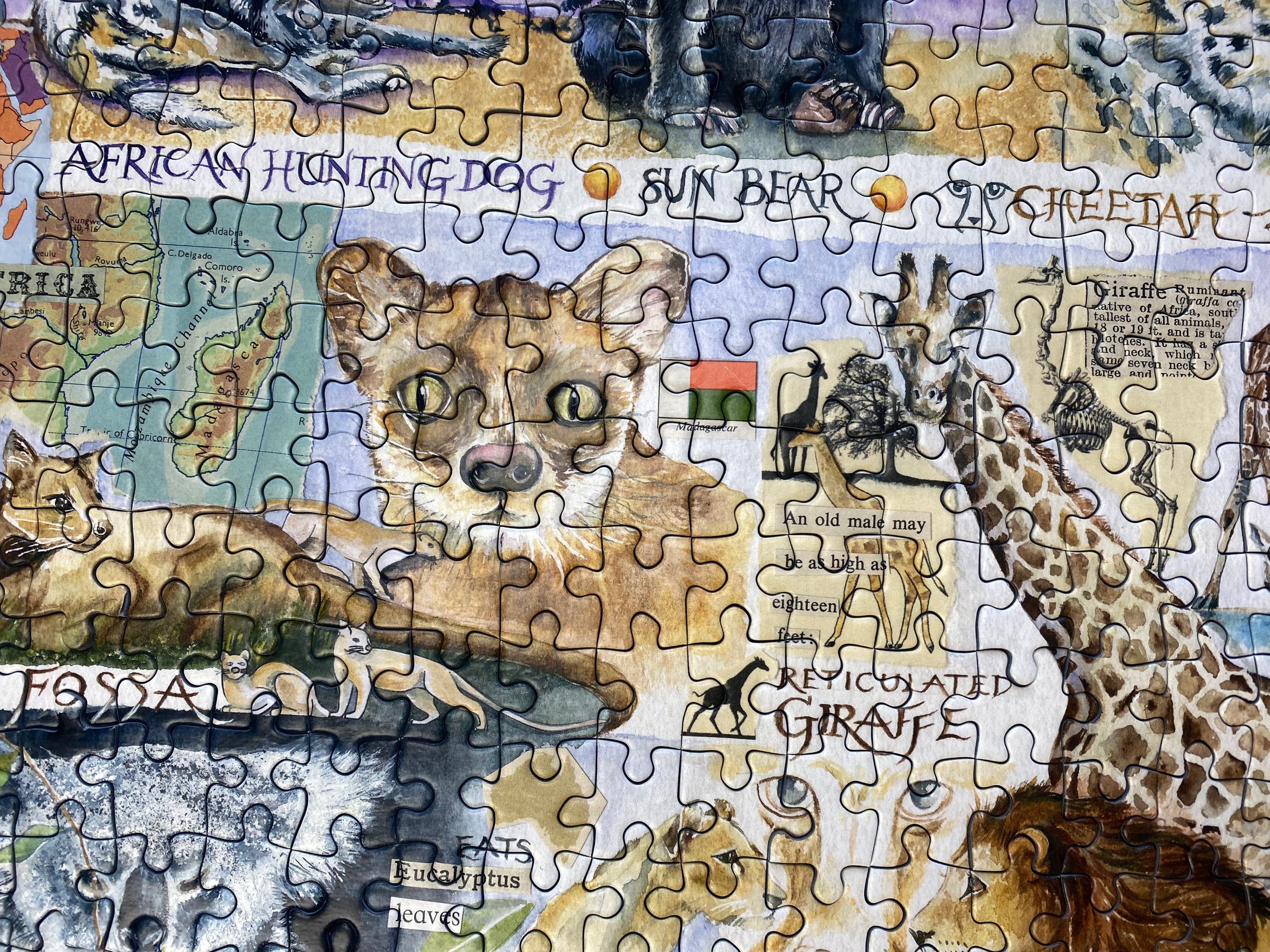 gibsons-sun-bears-and-sloths-1000-teile-puzzle-tiere image 5