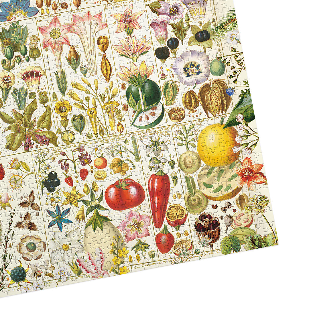 gibsons-rhs-botanical-bliss-puzzle-1000-teile-blumen image 8