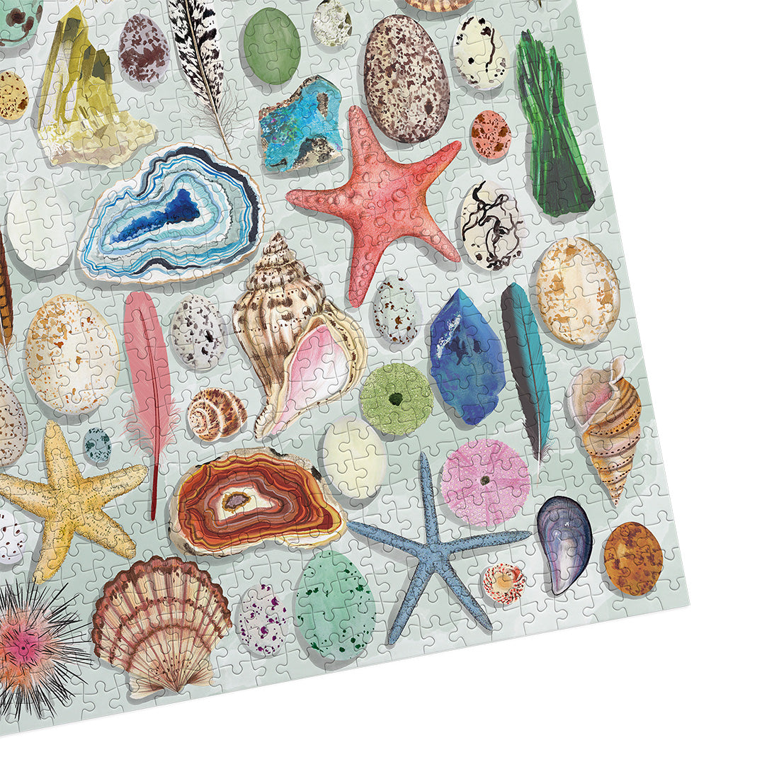 gibsons-natural-curiosities-puzzle-1000-teile-meer image 8