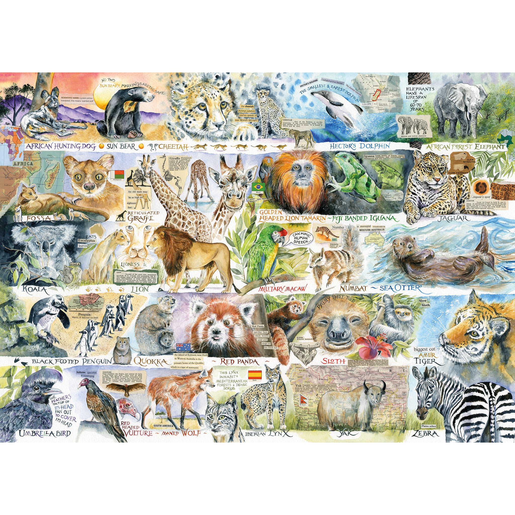 gibsons-sun-bears-and-sloths-1000-teile-puzzle-tiere image 4