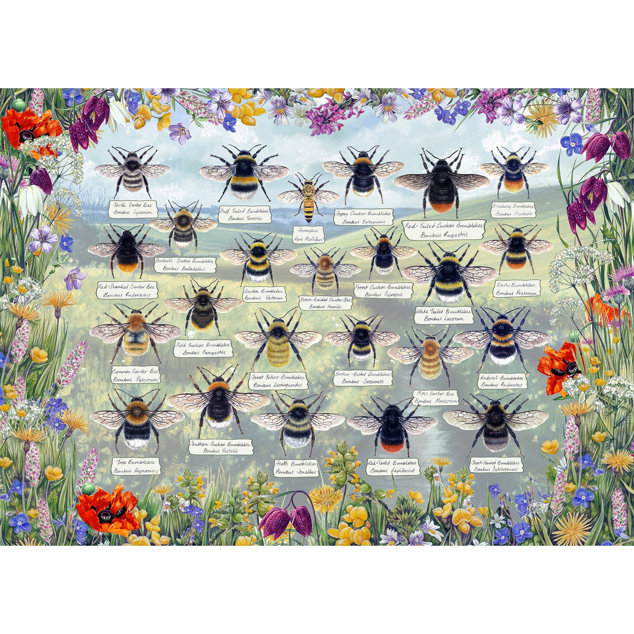 gibsons-brilliant-bees-puzzle-1000-teile-bienen image 7