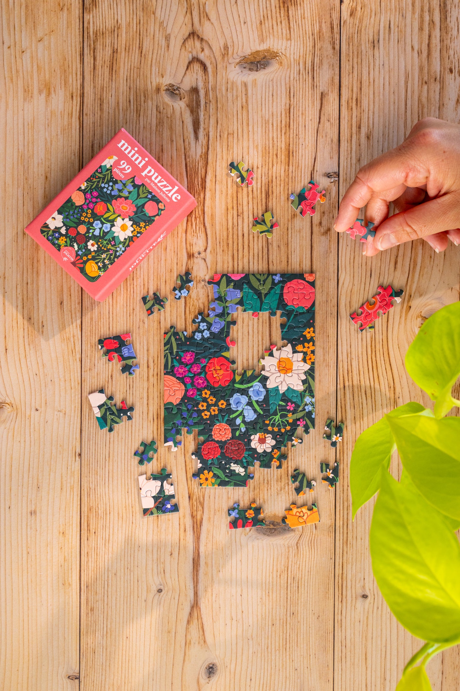 maison-joliette-po-sie-sauvage-mini-puzzle-99-teile image 3