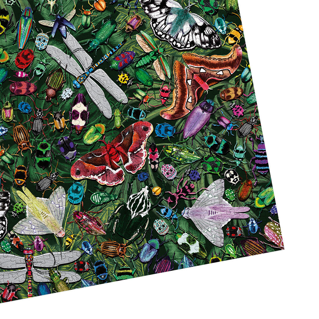 gibsons-winged-wonders-puzzle-1000-teile-schmetterlinge image 8
