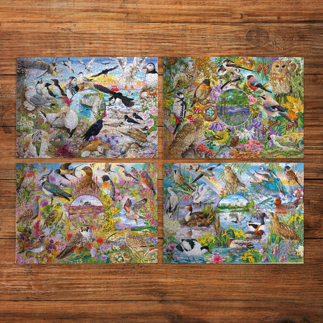 gibsons-rspb-wings-in-the-wild-puzzle-4x500-v-gel image 2