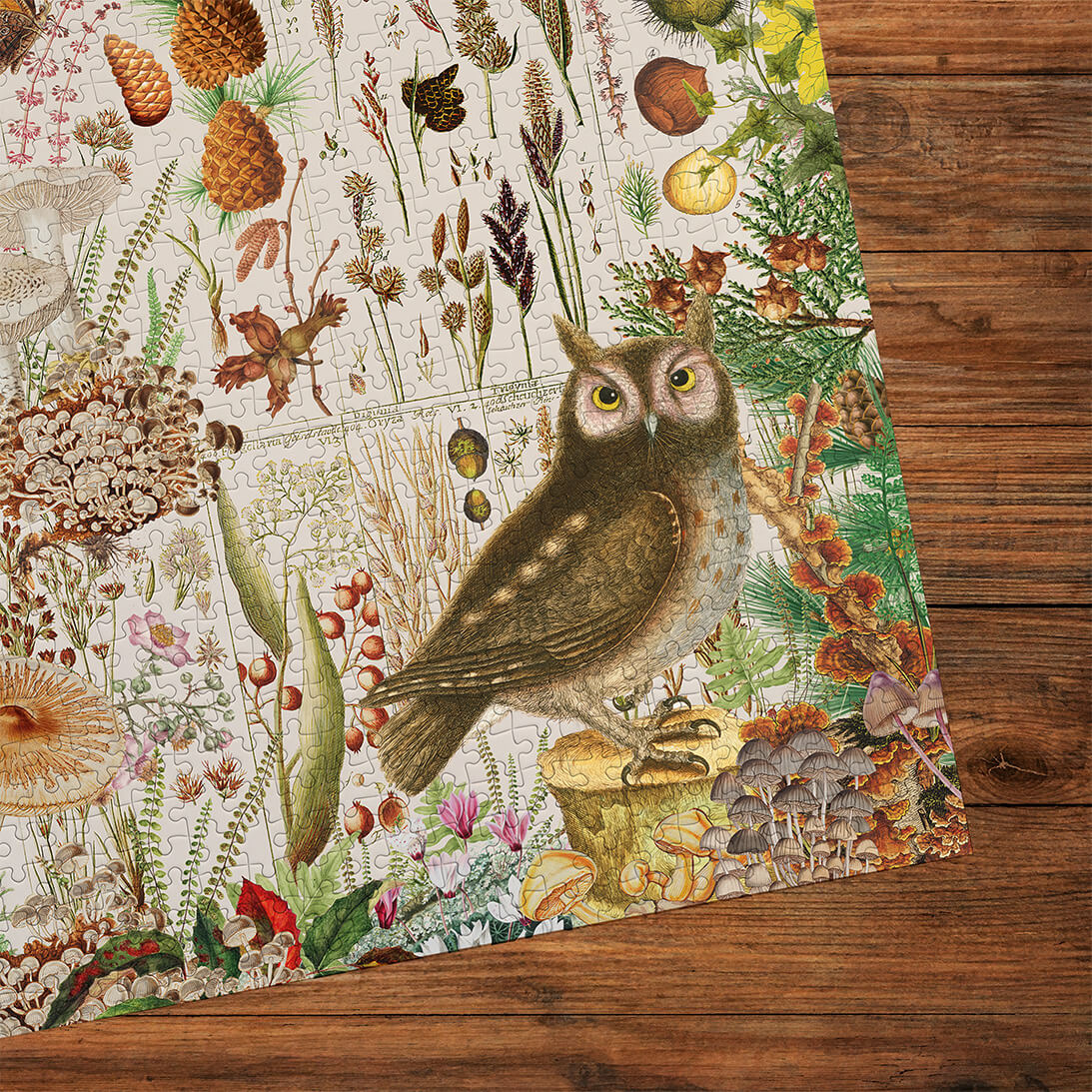 gibsons-rhs-fall-flora-1000-teile-puzzle-herbst image 3
