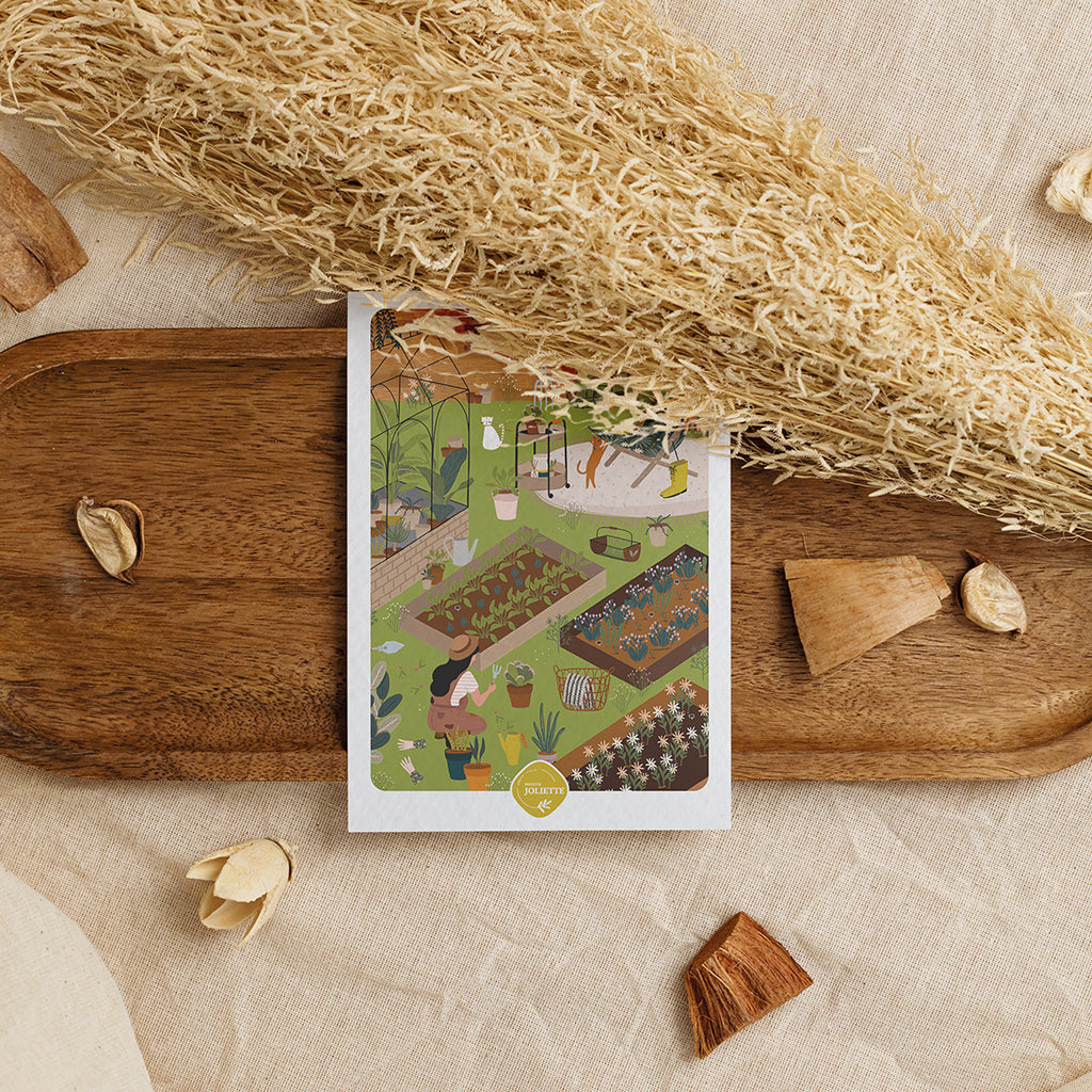 maison-joliette-cartes-postales-jardin-secret-postkarte-umschlag image 8