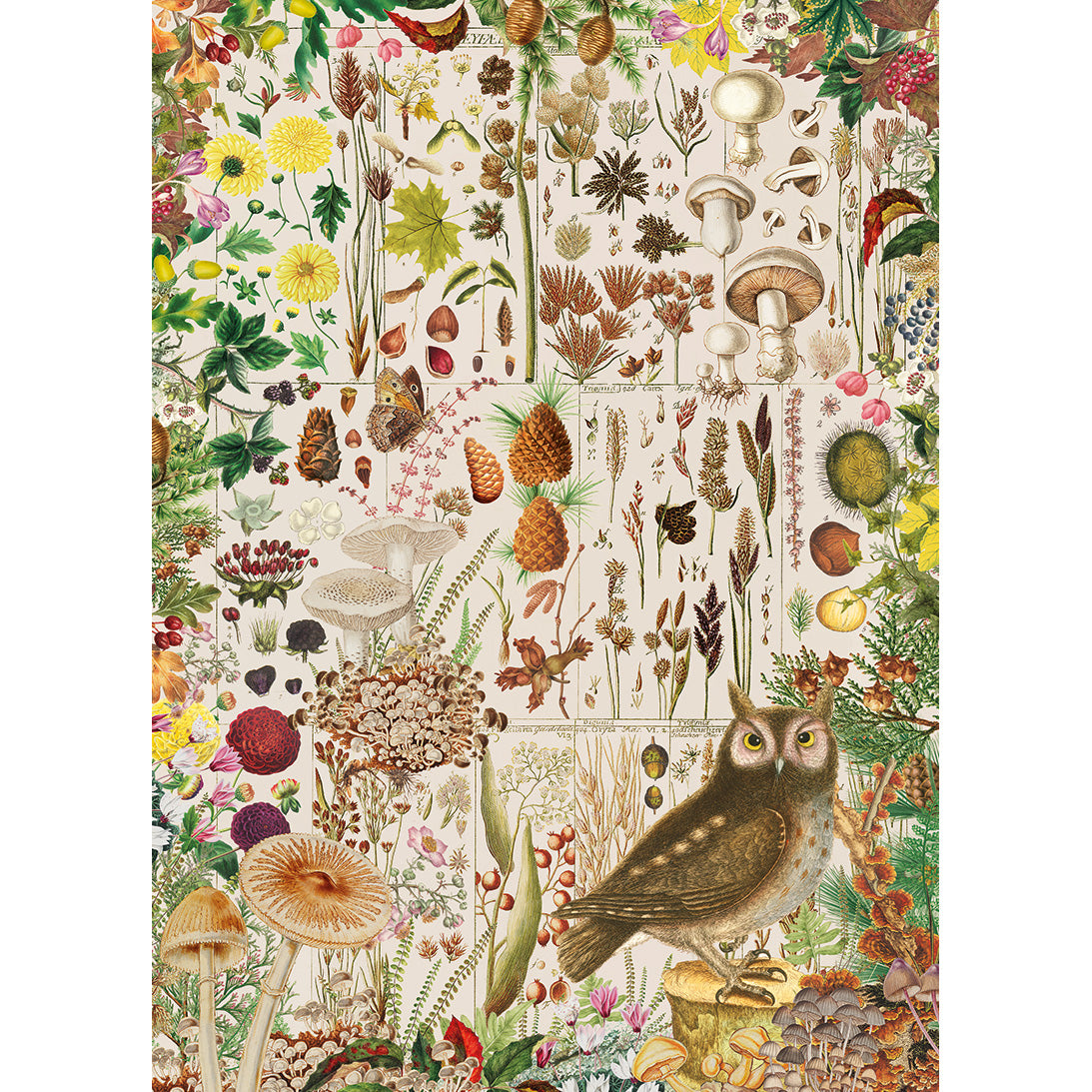 gibsons-rhs-fall-flora-1000-teile-puzzle-herbst image 6