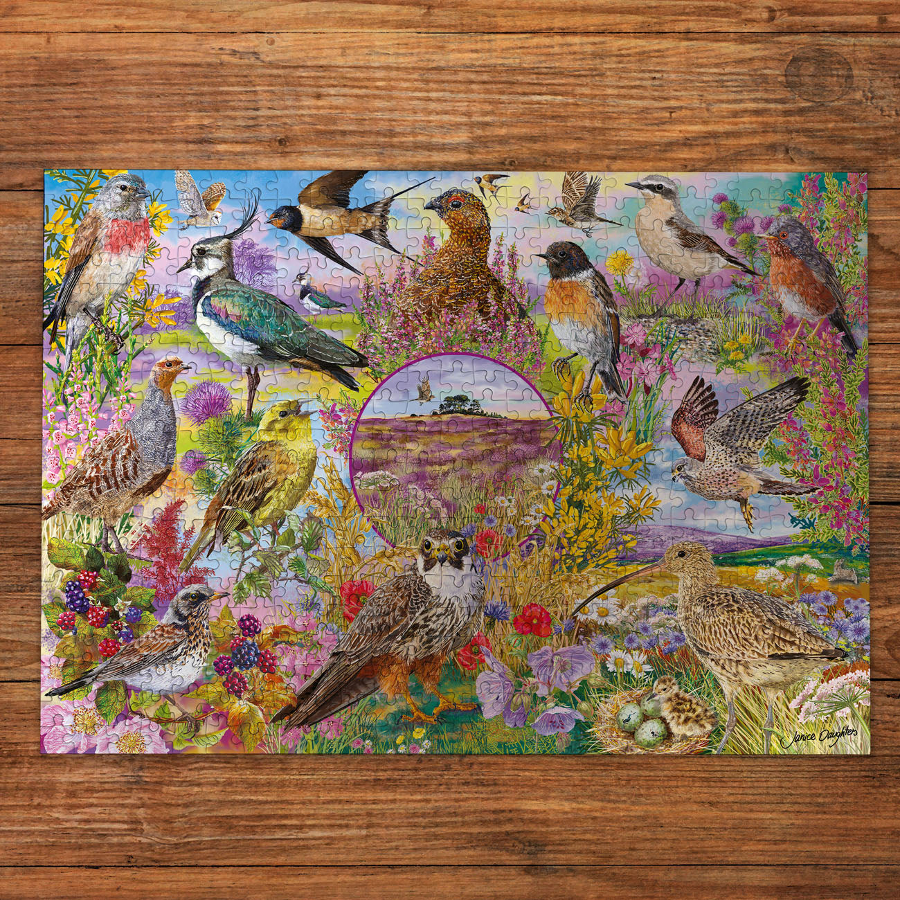 gibsons-rspb-wings-in-the-wild-puzzle-4x500-v-gel image 8