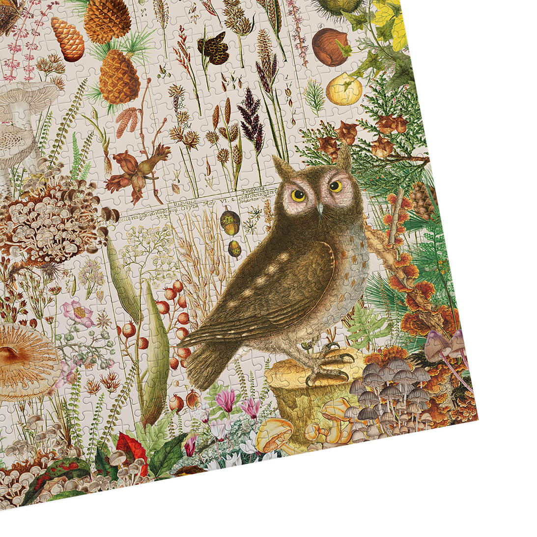 gibsons-rhs-fall-flora-1000-teile-puzzle-herbst image 7