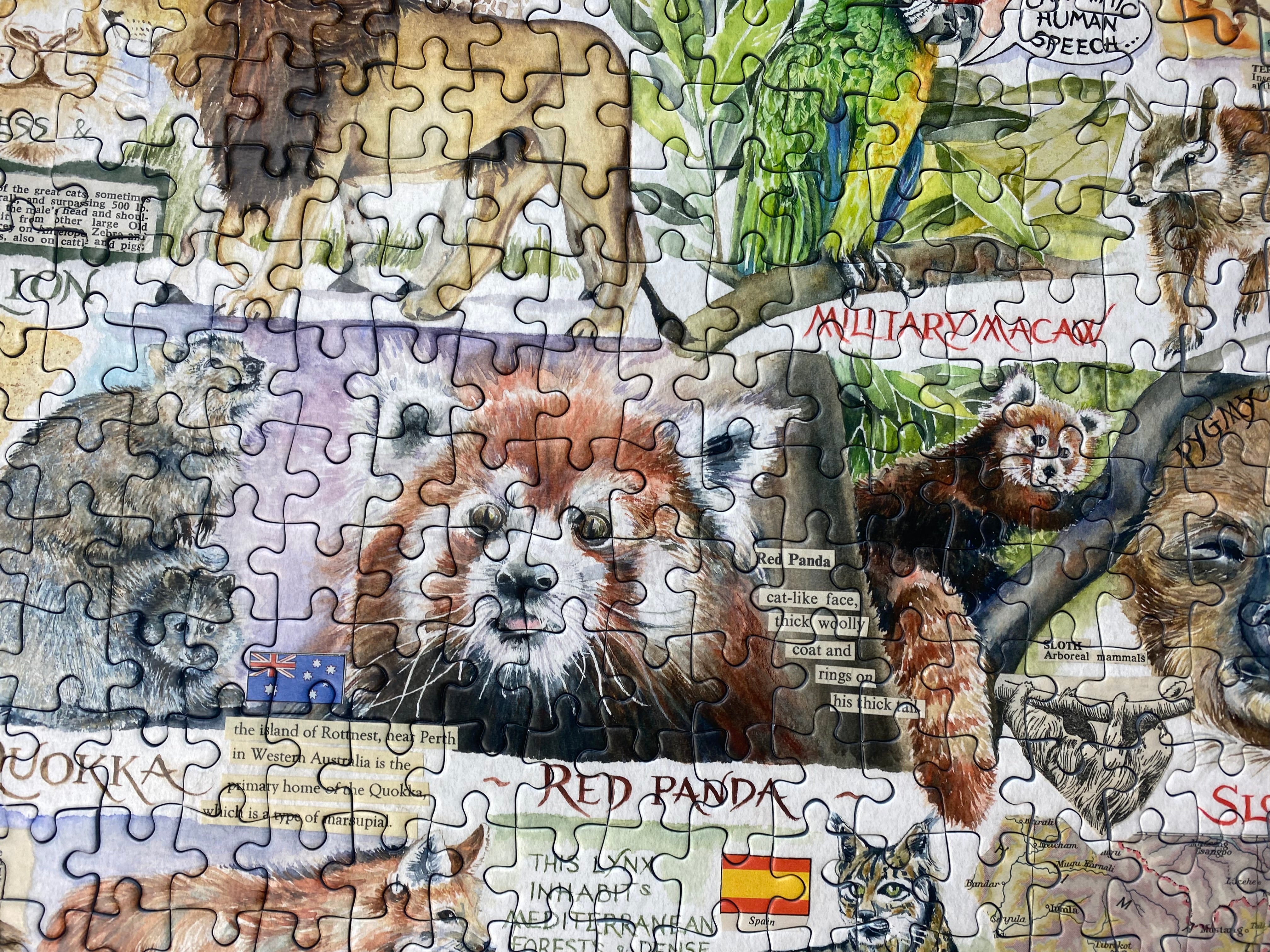 gibsons-sun-bears-and-sloths-1000-teile-puzzle-tiere image 3
