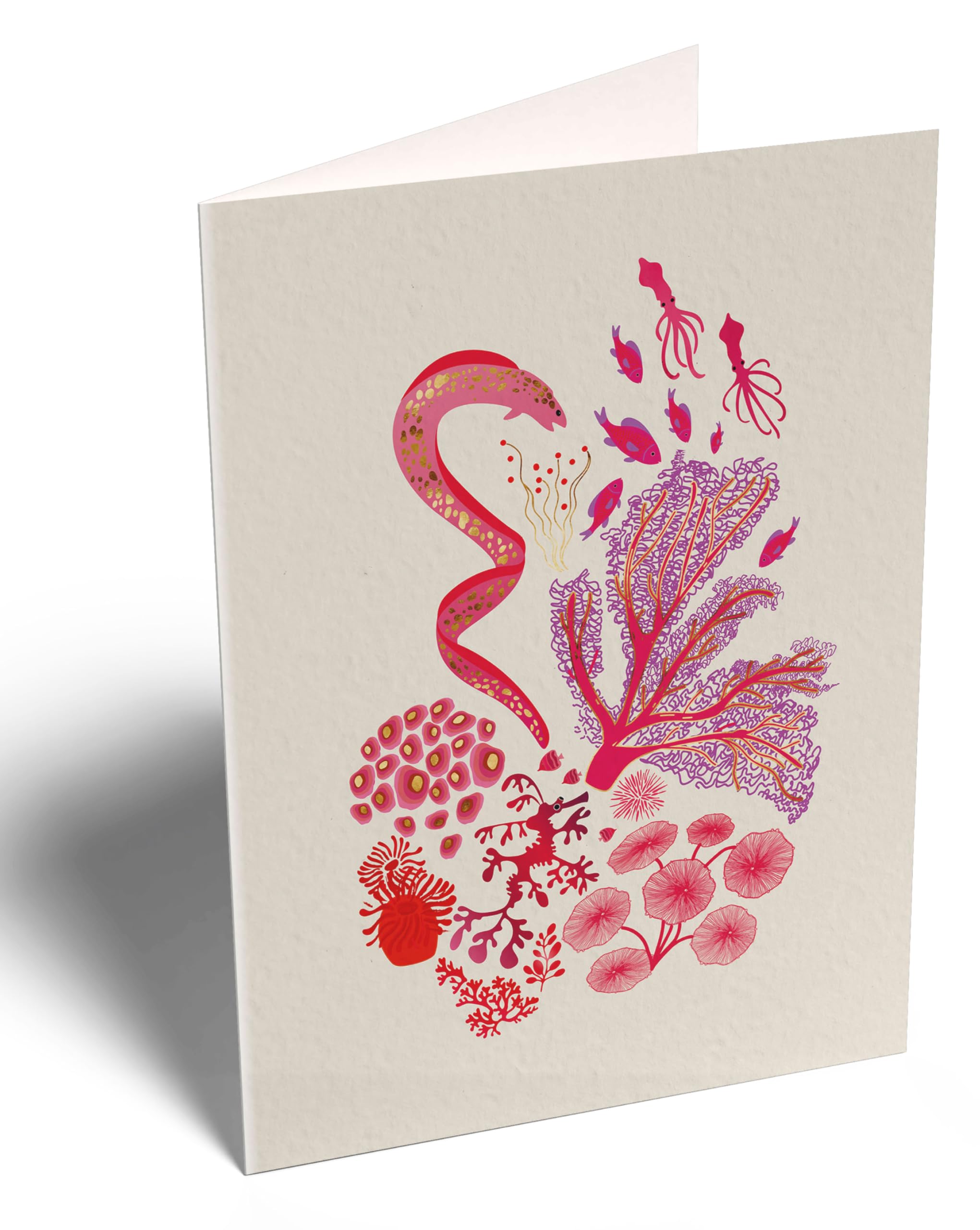 elena-essex-cards-gru-karten-12er-set-koralle-goldfolie image 6