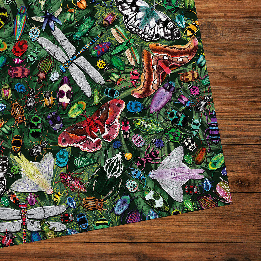 gibsons-winged-wonders-puzzle-1000-teile-schmetterlinge image 2