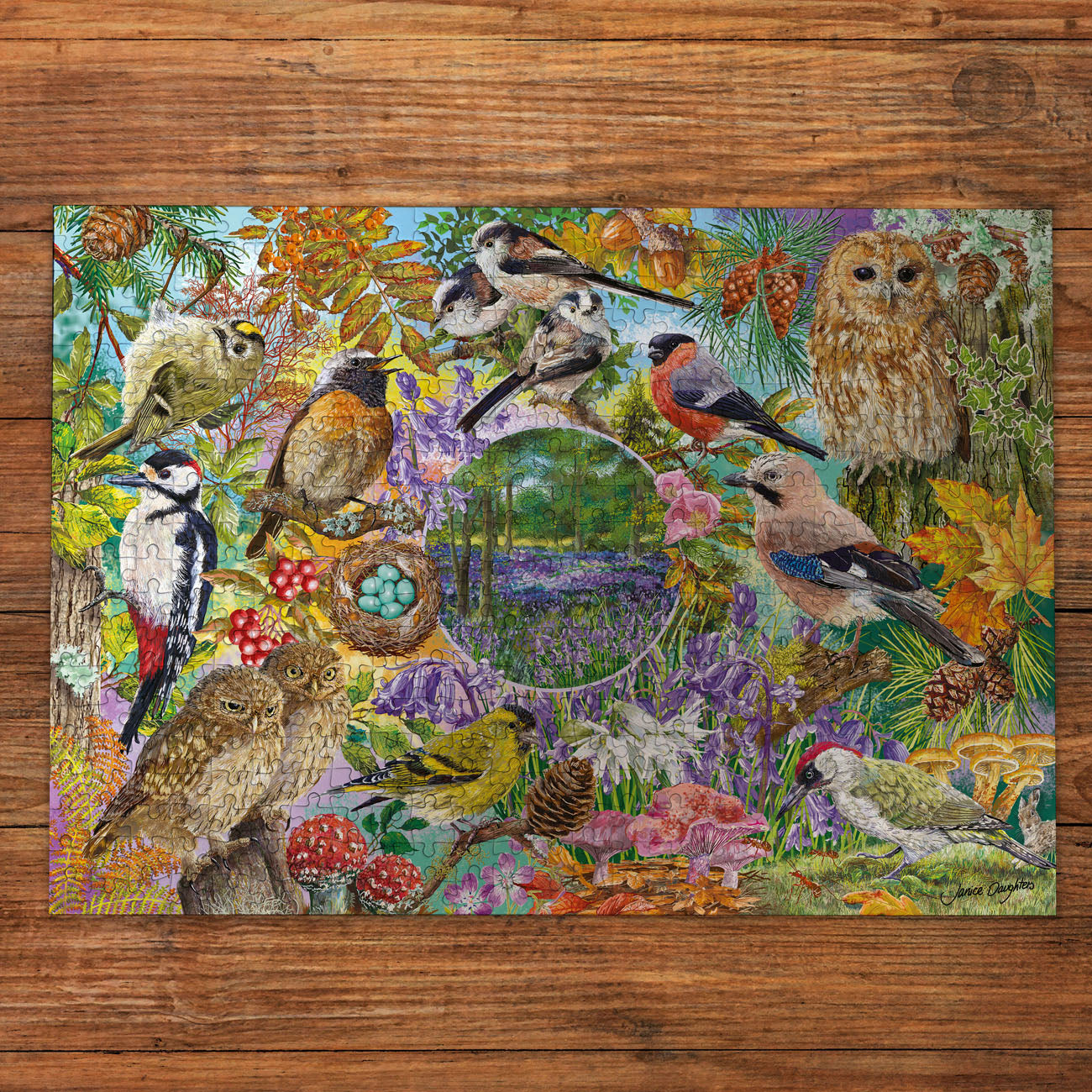gibsons-rspb-wings-in-the-wild-puzzle-4x500-v-gel image 7