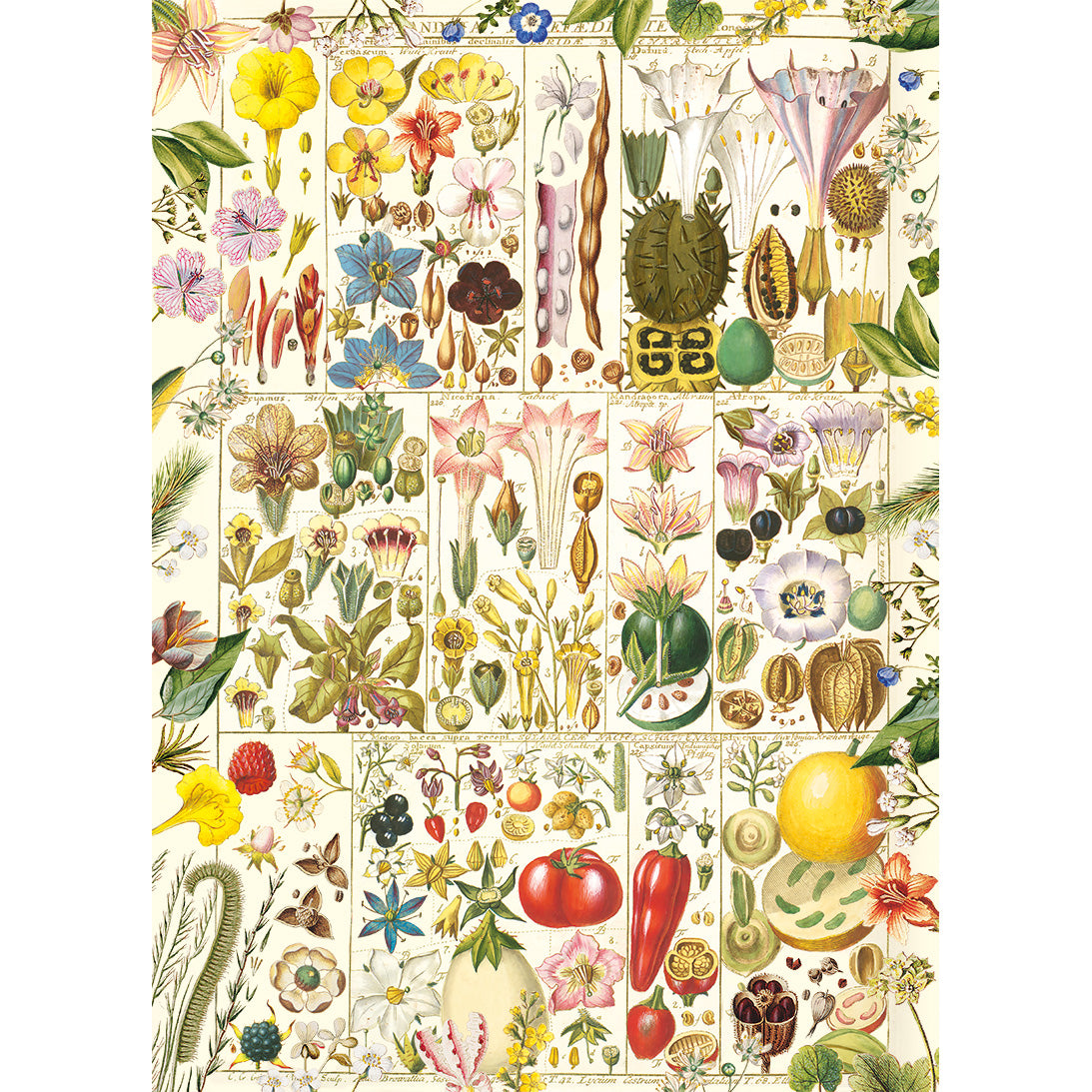 gibsons-rhs-botanical-bliss-puzzle-1000-teile-blumen image 5