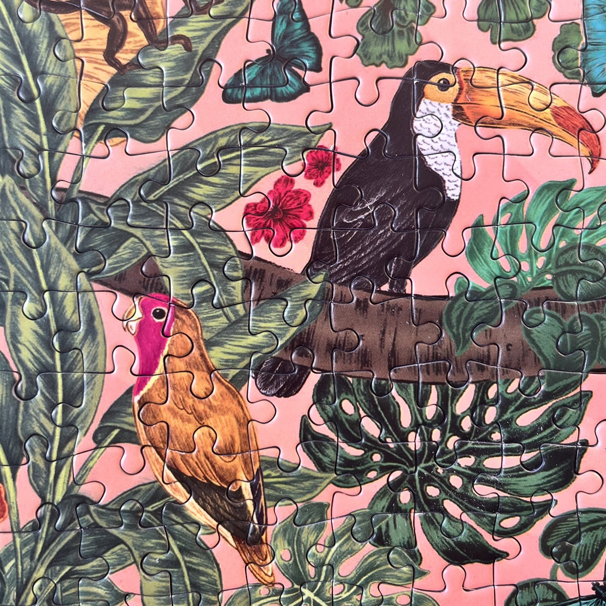 gibsons-the-art-file-soleil-puzzle-1000-teile-dschungel image 3