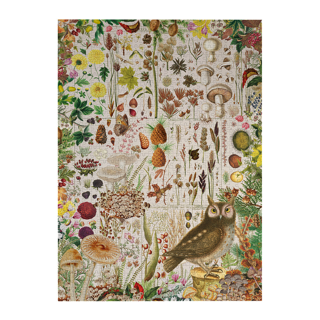 gibsons-rhs-fall-flora-1000-teile-puzzle-herbst image 8