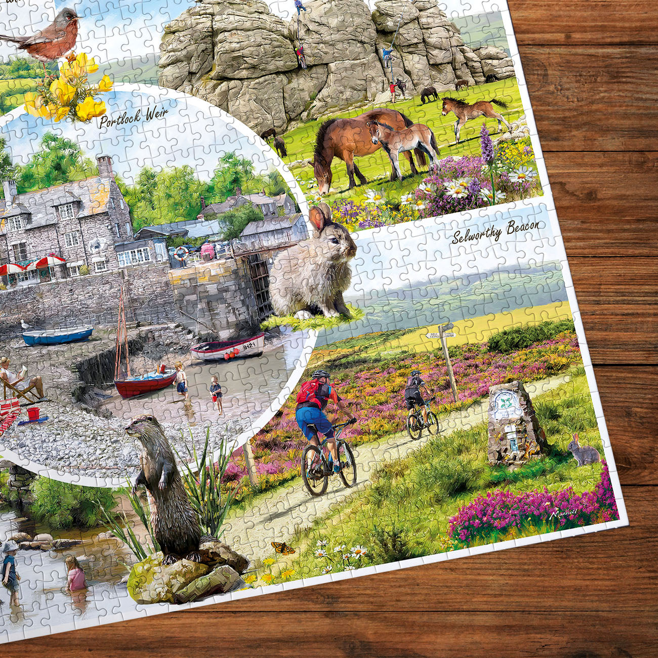 gibsons-dartmoor-exmoor-1000-teile-puzzle-landschaft image 3
