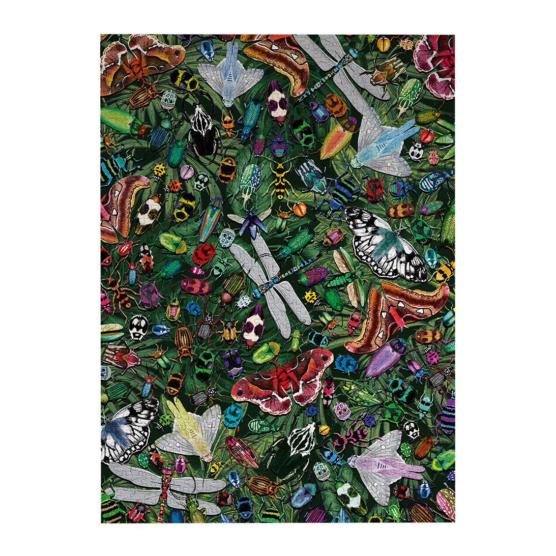 gibsons-winged-wonders-puzzle-1000-teile-schmetterlinge image 7