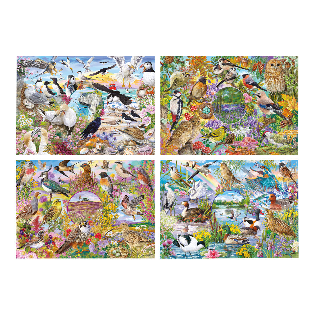 gibsons-rspb-wings-in-the-wild-puzzle-4x500-v-gel image 5